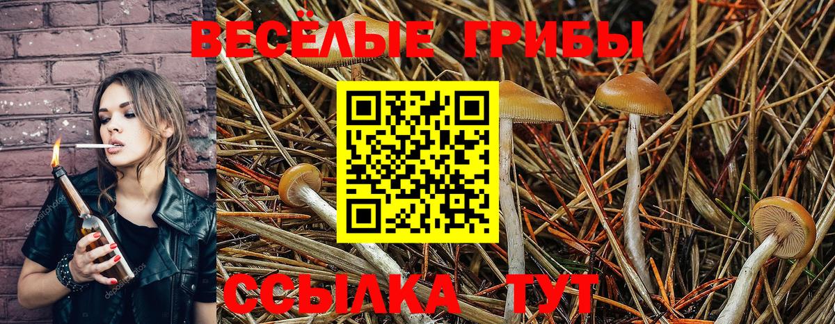 Кузнецк  Галлюциногенные грибы GOLDEN TEACHER  Вход с VPN  Галлюциногенные грибы Magic Shrooms 